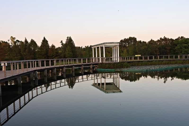 Wild Hong Kong Getaway: Wetland Park, Mai Po & Birdwatching (4 Nights)