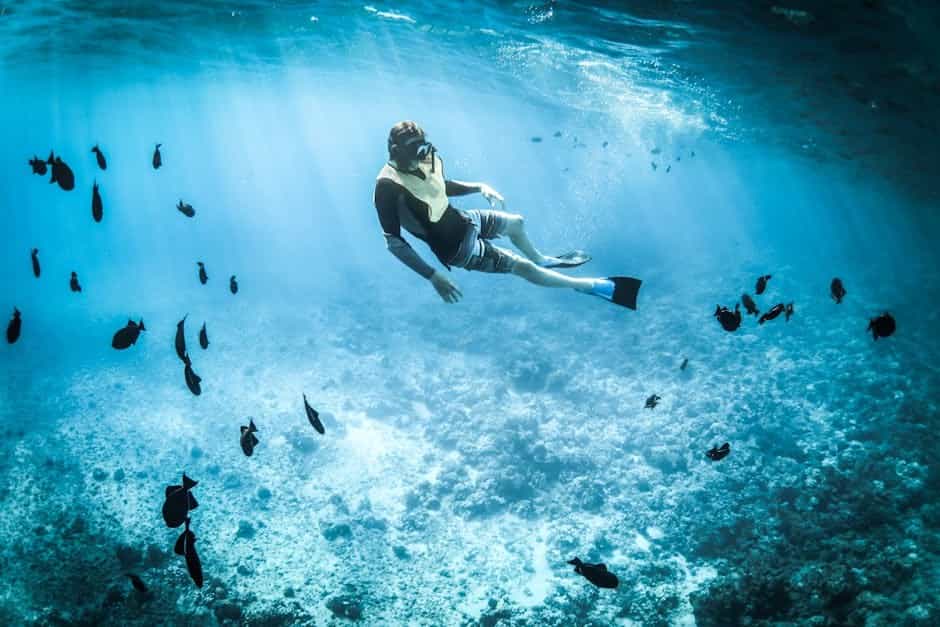 Family Snorkel Adventure: Kaleidoscopic Corals for Kids Family Snorkel Adventure: Kaleidoscopic Corals for Kids