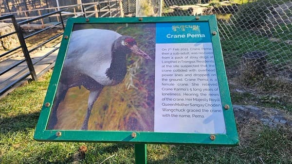 2023Dec18- Black-necked Crane Visitor Centre 2023Dec18- Black-necked Crane Visitor Centre