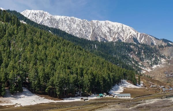 Sheikhopora, Tulail Valley, J&K, India