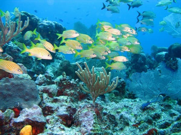 Visit a Marine Discovery Centre Photo 2
