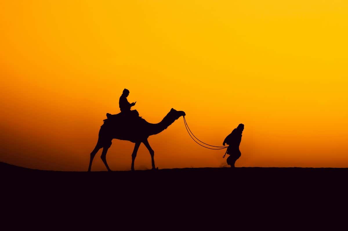 Rajasthan Tour Guide Rajasthan Tour Guide