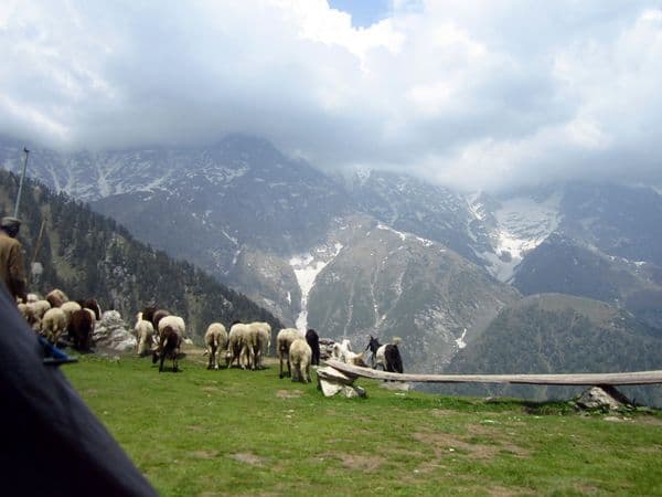 Triund Hill Triund Hill